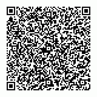 vCard 74957211099