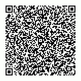 vCard 74957211133