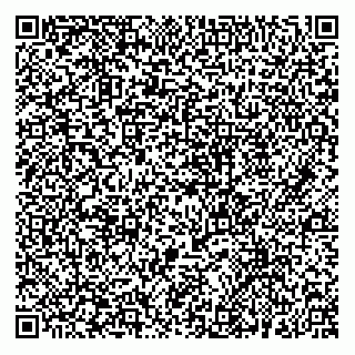 vCard 74957251040