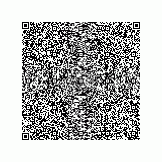 vCard 74957253335