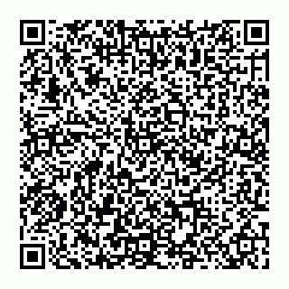 vCard 74957293729