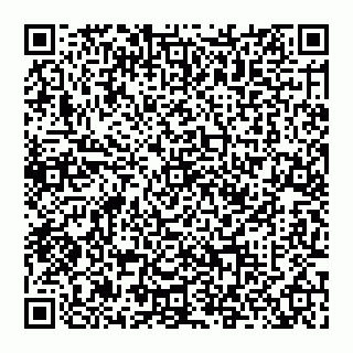 vCard 74957293763