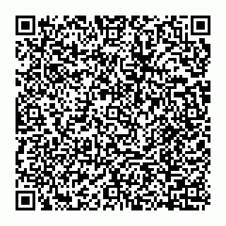 vCard 74957379020