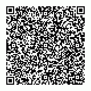 vCard 74957379100