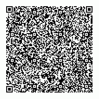vCard 74957390433