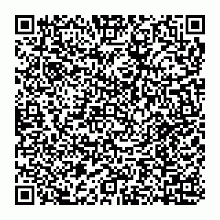vCard 74957490313