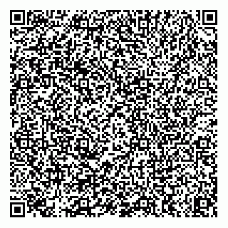 vCard 74957752381