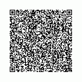 vCard 74958005803