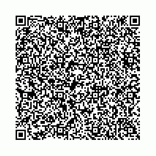vCard 74958188119