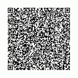 vCard 74958188208