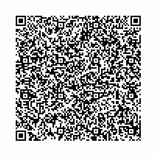 vCard 74958188339