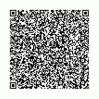 vCard 74958188380