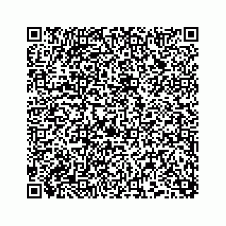 vCard 74958477151