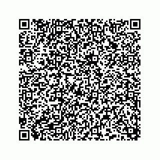 vCard 74958477171