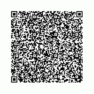 vCard 74958477173