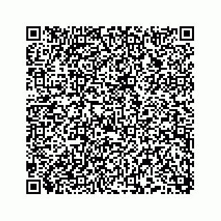 vCard 74958477203