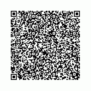 vCard 74958477333