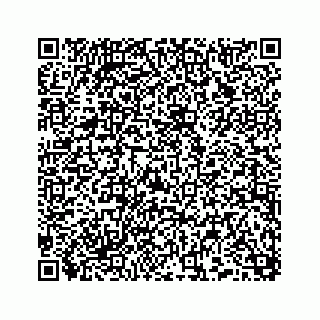 vCard 74958477353