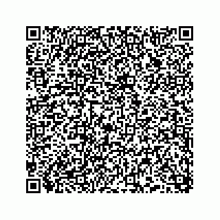 vCard 74958477381