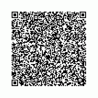 vCard 74958477385