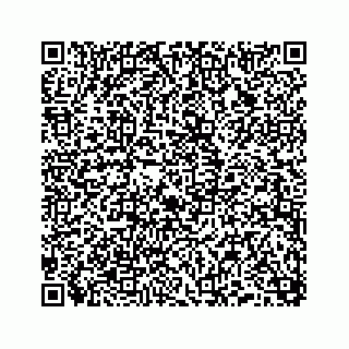 vCard 74958477387