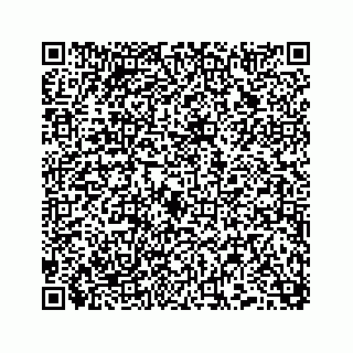 vCard 74958477392