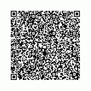 vCard 74958477393