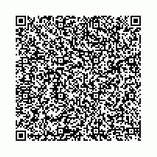 vCard 74958484009