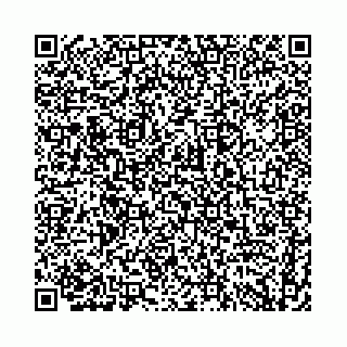 vCard 74958484087