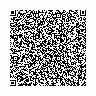vCard 74958484109