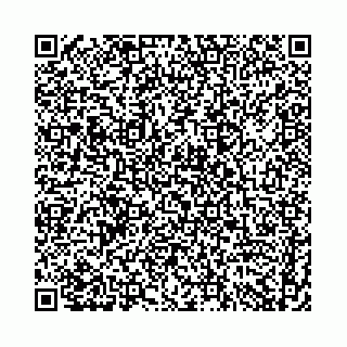 vCard 74958484111
