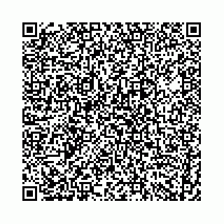 vCard 74958484120