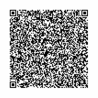 vCard 74958484121