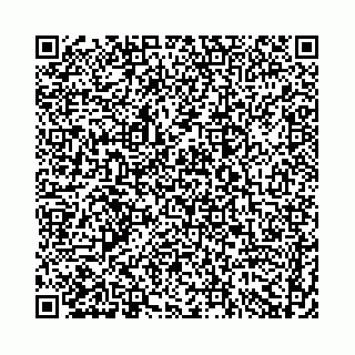 vCard 74958484131