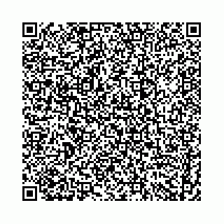 vCard 74958484133