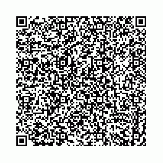 vCard 74958484134