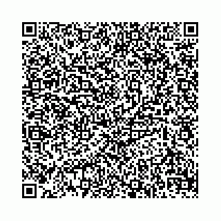 vCard 74958484163