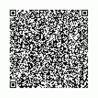 vCard 74958484180