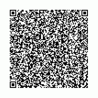 vCard 74958484185
