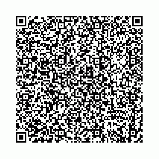 vCard 74958484203