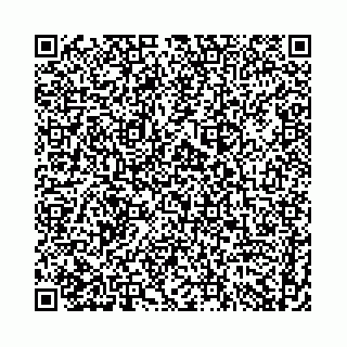 vCard 74958484218