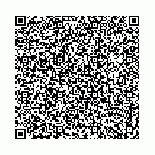 vCard 74958484267