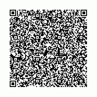 vCard 74958484284