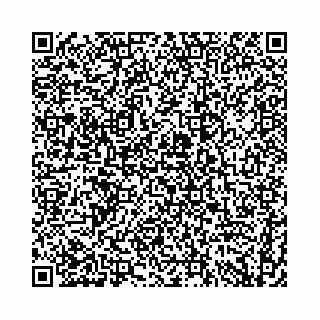 vCard 74958484287