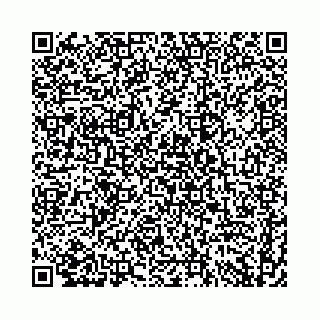 vCard 74958484293