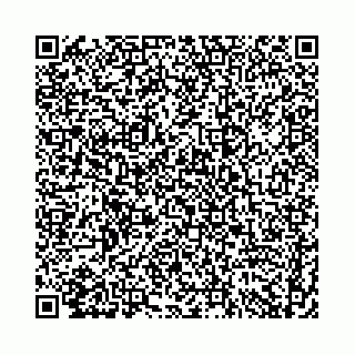 vCard 74958484313
