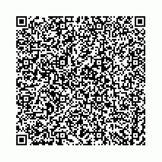 vCard 74958484317