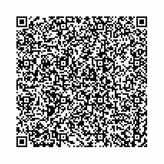 vCard 74958484319