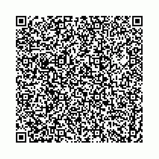 vCard 74958484329