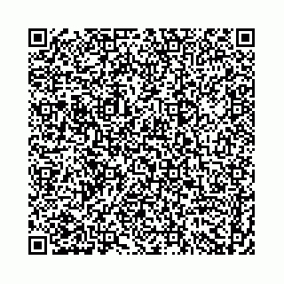 vCard 74958484333